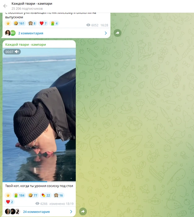 Источник: «Каждой твари&nbsp;— кампари» / Telegram