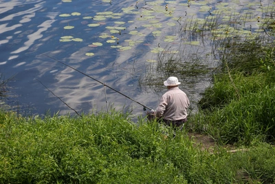 Ограничения на рыбалку в Нижегородской области в период нереста