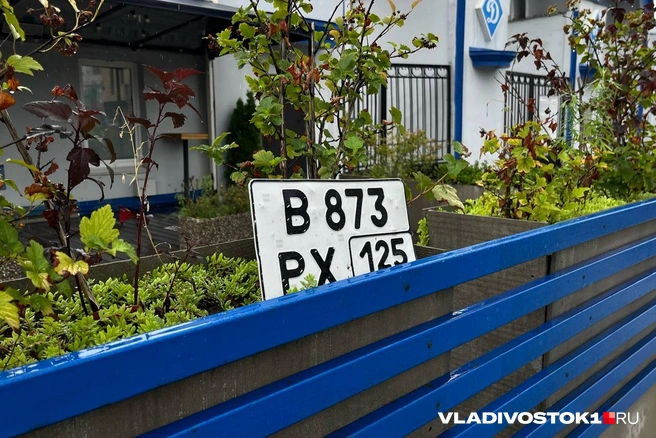 Источник: Елена Буйвол / VLADIVOSTOK1.RU