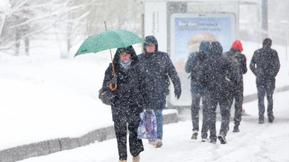 Снежный апокалипсис в Москве: город парализован метелью