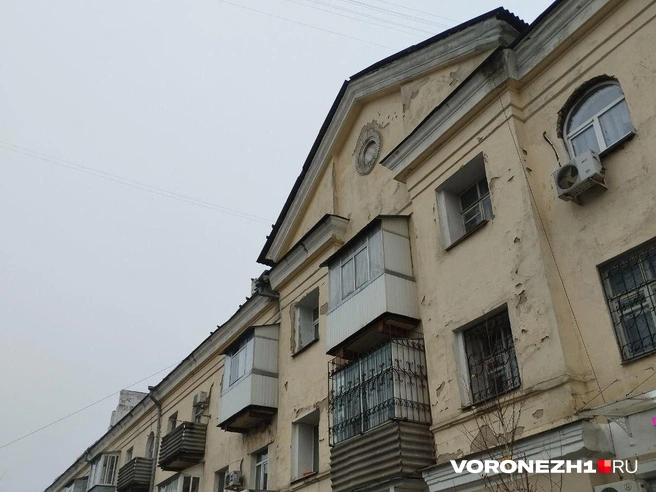 Источник: Дмитрий Волгин / Voronezh1.ru