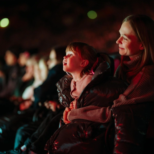 Грандиозную постановку оценят взрослые и дети | Источник: ИП Шитов Денис Юрьевич