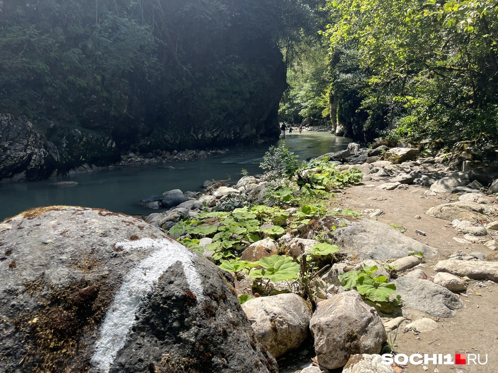 Путь на каньон сложный, но дети его проходят | Источник: Анна Грицевич / SOCHI1.RU