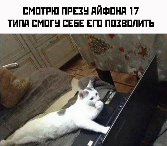 Источник: Соцсети