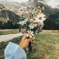 Аватарка Виолетта Маланчук