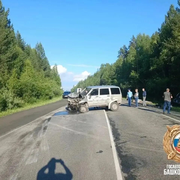 Пострадавший «УАЗ-Патриот»&nbsp;— выехал на встречку | Источник: Владимир Севастьянов / Telegram