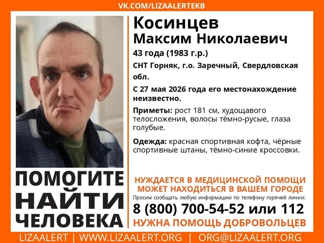Источник: Поисковый отряд «ЛизаАлерт»