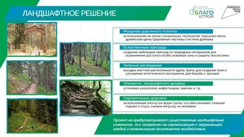 В районе Ершовского леса хотят сделать экопарк | Источник: gosuslugi.ru