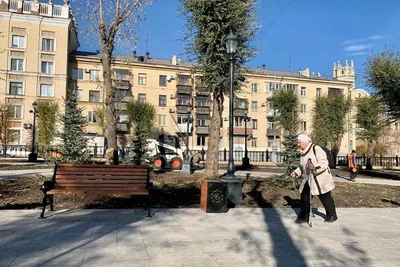 Мэр об устойчивых карагачах для Магнитогорска