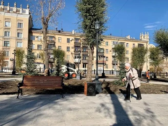 Популярные в прежние времена карагачи — неприхотливы и красивы при должном уходе, считает Сергей Бердников | Источник: Анна Лялькова / MGORSK.RU