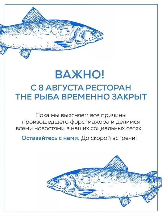 Такое сообщение появилось в соцсетях заведения | Источник: Ресторан The Рыба Патрики / T.me