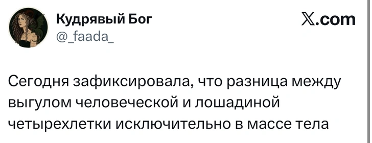 Источник: X (Twitter)