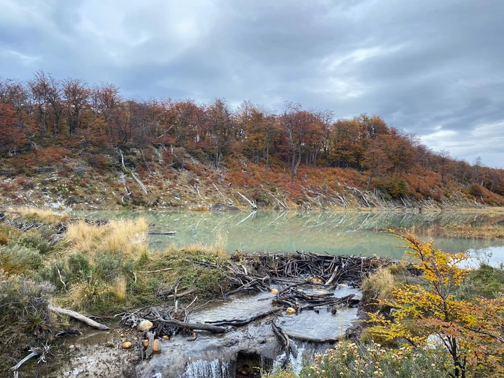 Источник: Андрей Виноградов