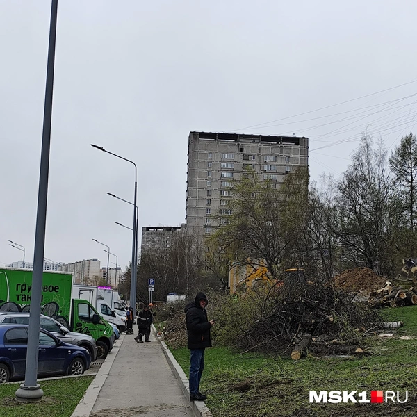 Вырубленные деревья на Липецкой улице вблизи стройплощадки одноименной станции метро | Источник: Игорь Мещанев / MSK1.RU