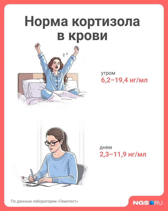 Источник: Юрий Орлов / Городские медиа