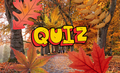 Quiz: Угадай дерево по его листочку ????