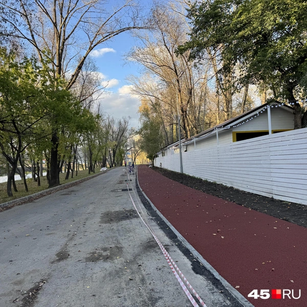 Источник: Юлия Король / 45.RU