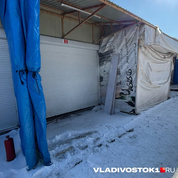 Источник: Елена Буйвол / VLADIVOSTOK1.RU