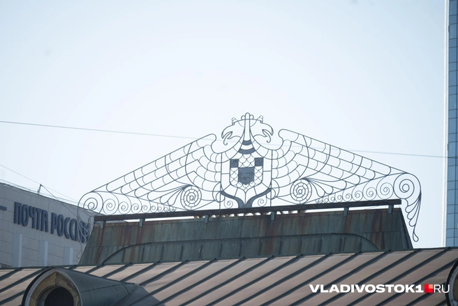 Источник: Елена Буйвол / VLADIVOSTOK1.RU