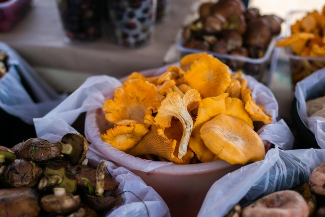 В алтайских лесах спеют ягоды и растут грибы | Источник: Ксения Филимонова / IRCITY.RU