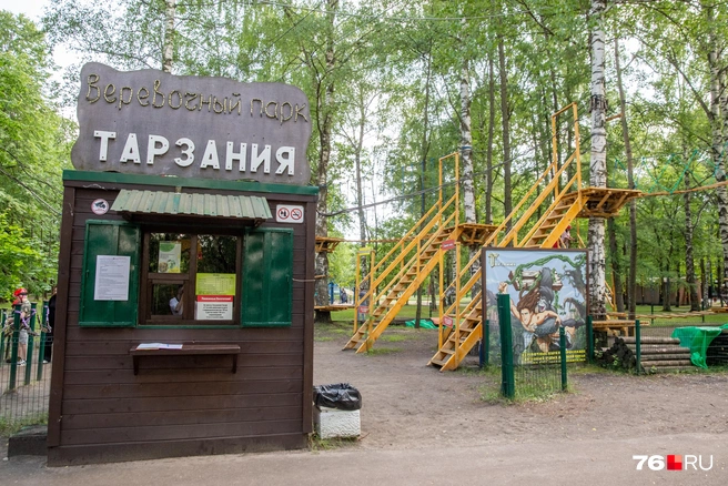 Здесь можно полазать по деревьям. Цены варьируются от 150 до 1100 рублей | Источник: Кирилл Поверинов / 76.RU