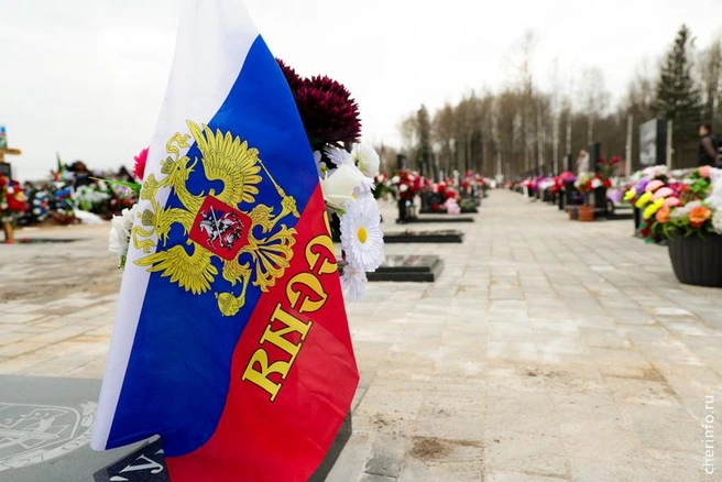 Источник: st.cherinfo.ru