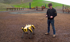 Адам Сэвидж из «Разрушителей легенд» займется дрессировкой робопса от Boston Dynamics (видео)