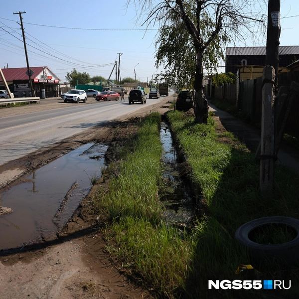Некоторые откачивают воду в переполненные и поросшие тиной ливневки | Источник: Евгений Софийчук / NGS55.RU