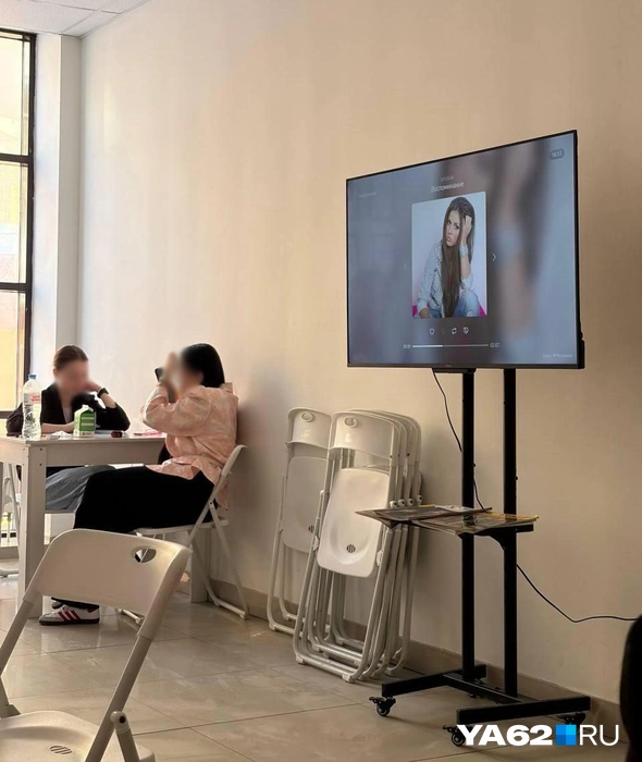 Нюша помогает сосредоточиться на работе | Источник: Дарья Ходосевич / YA62.RU