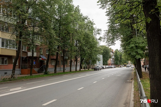 На участке улицы от Советской до проспекта Октября находятся жилые дома, клиника и Ярославский ликеро-водочный завод | Источник: Александр Куренной / 76.RU