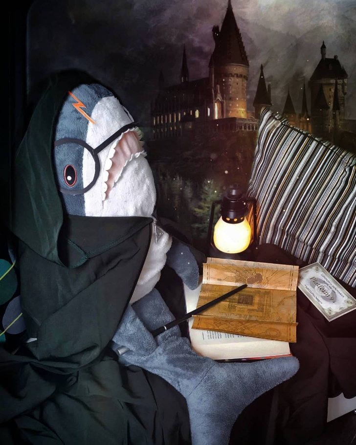 ИКЕА запустила Instagram-сериал (запрещенная в России экстремистская организация) с акулой Блохэй в главной роли