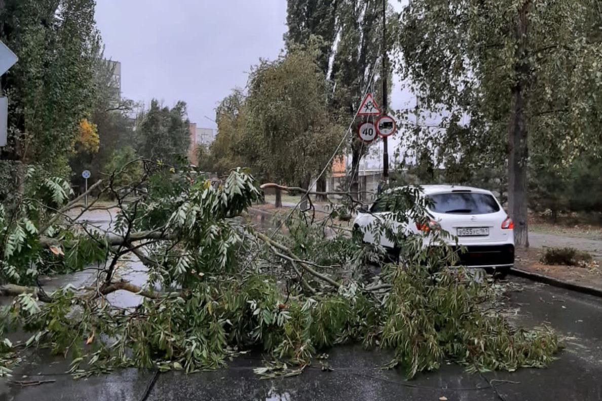 Что случилось в Ростове-на-Дону из-за ветра и непогоды, погода в Ростове -  8 октября 2023 - 161.ру