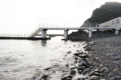 Более 50 БПЛА сбили над Кубанью за последние сутки