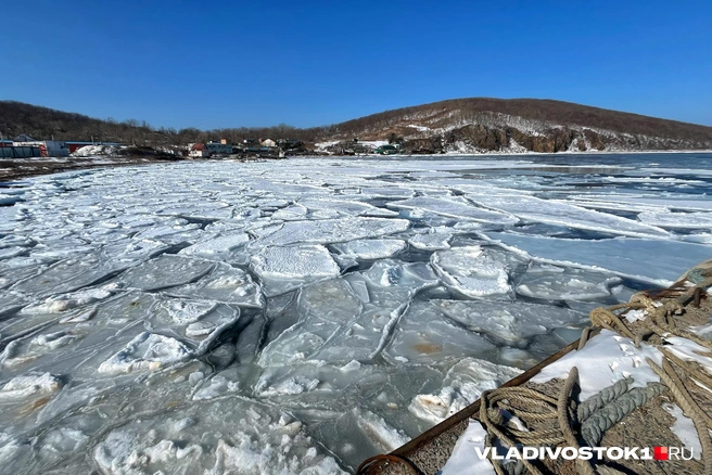 Источник: Елена Буйвол / VLADIVOSTOK1.RU