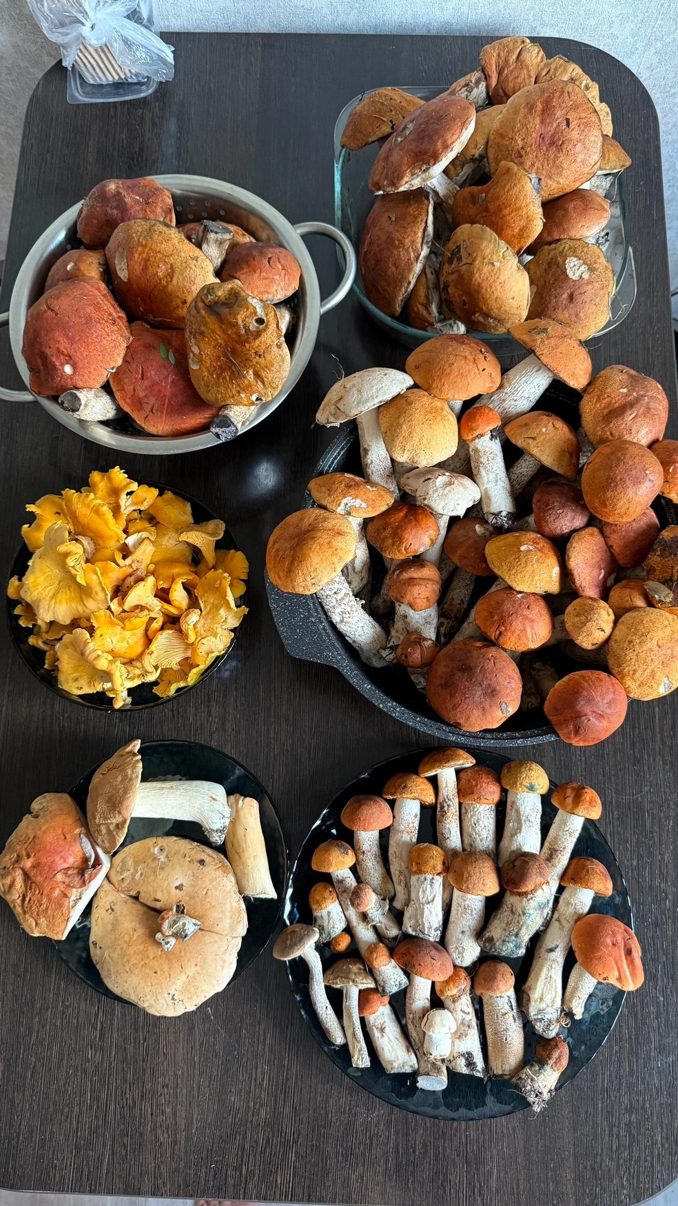 Рядом с Нижним Тагилом грибов побольше | Источник: Кристина Романова / «Грибы и грибники Екатеринбурга и Свердловской области» / Vk.com