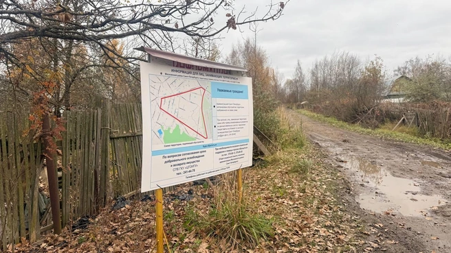 Огороды в Московском районе, приговорили к демонтажу. Жители не готовы расставаться с ними добровольно | Источник: ККИ