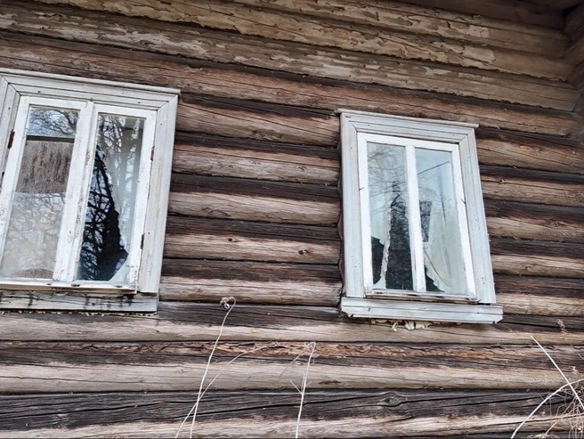 Изба Скворцовых стоит на болоте, землю под нее выдали военным в советское время со словами «Будете здесь жить». | Источник: Ксения Потеева / «Фонтанка.ру»