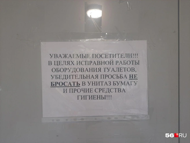 Работа унитазов зависит и от посетителей тоже | Источник: Анастасия Баринова / 56.RU
