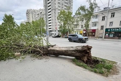 Ураган в Екатеринбурге снес панели ТЦ и разбил окна