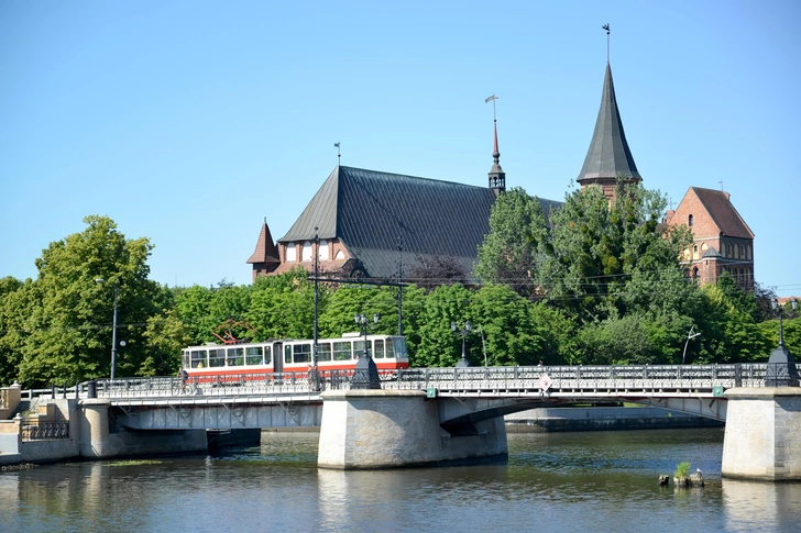 Источник: Irina Borsuchenko via Shutterstock/Fotodom.ru