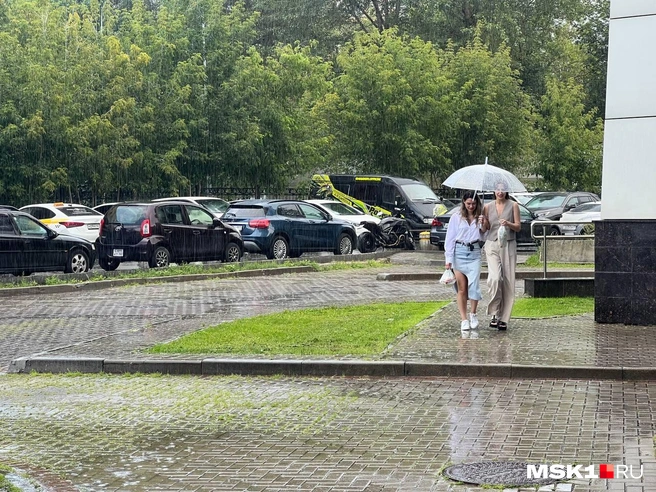 МЧС предупредило о грозе и ливне в Москве | Источник: Иван Богданов / MSK1.RU