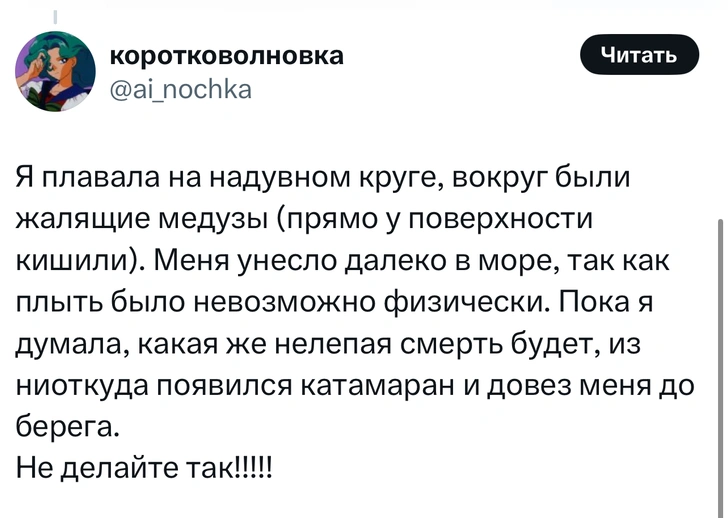 Источник: X (Twitter)