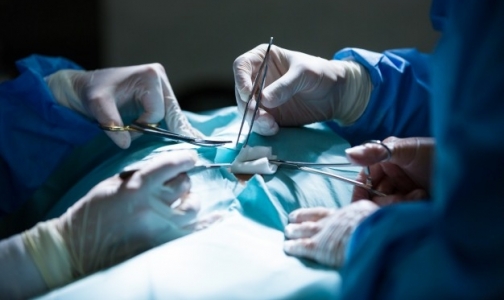 В Петербурге начало расти количество операций по пересадке органов