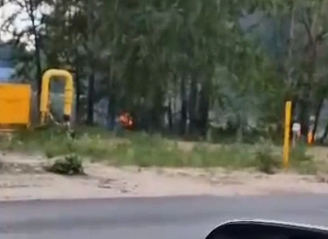 Пожар в лесопосадке на окраине Рязани потушили | ya62.ru