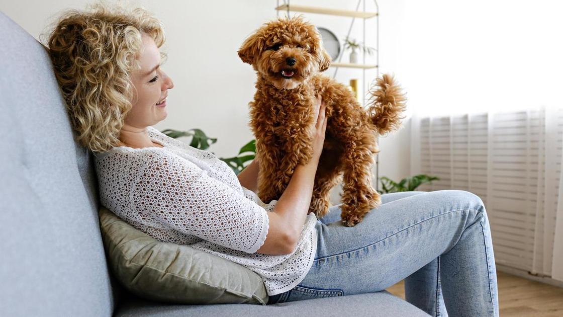 Овны приблизятся к мечте, Рыбы начнут заново: гороскоп на неделю со 9 по 15 марта для всех знаков зодиака