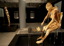 Анатомическая выставка «Тайны тела»