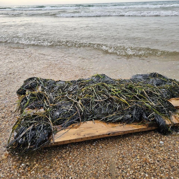 Источник: Юрий Озаровский / Телеграм