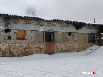 Раньше здесь выращивали коров | Источник: Михаил Мечев / MSK1.RU