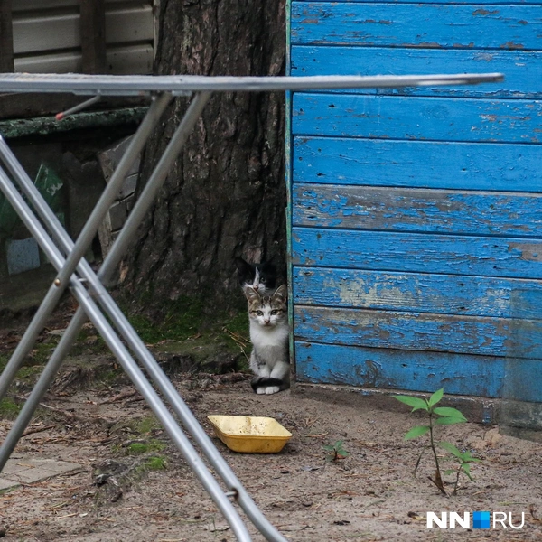 Источник: Наталья Бурухина / NN.RU