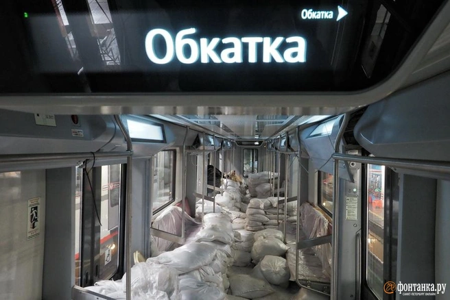 Источник: Михаил Огнев/«Фонтанка.ру»